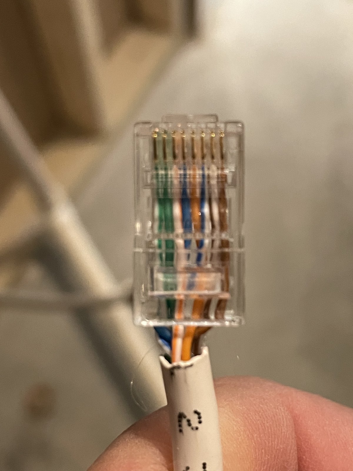 A clear pass-through RJ45 plug on a white Cat6 cable, the 8 individual conductors visible in order through the housing